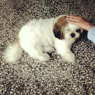 (��߁�߁�)�m