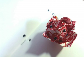 ���( �L_�T`)