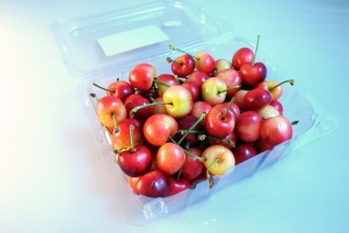 Cherry Season