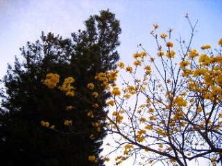 �����S�N